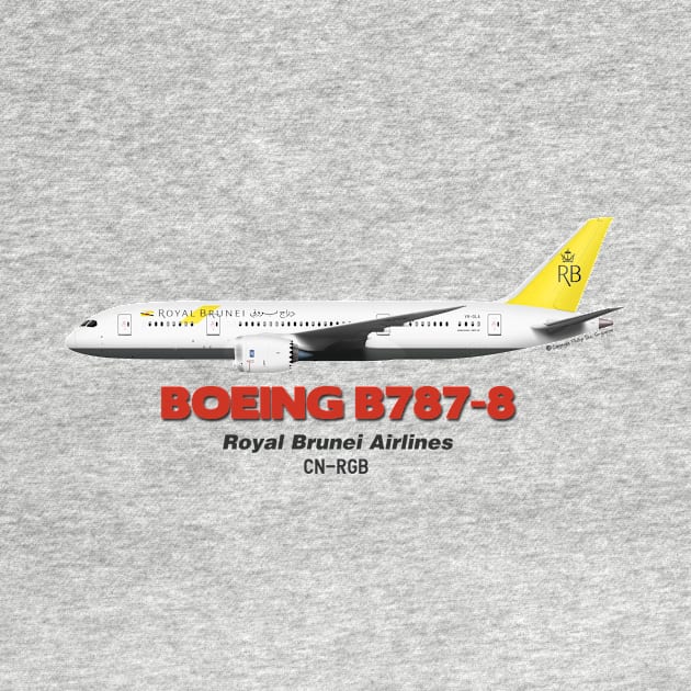 Boeing B787-8 - Royal Brunei Airlines by TheArtofFlying